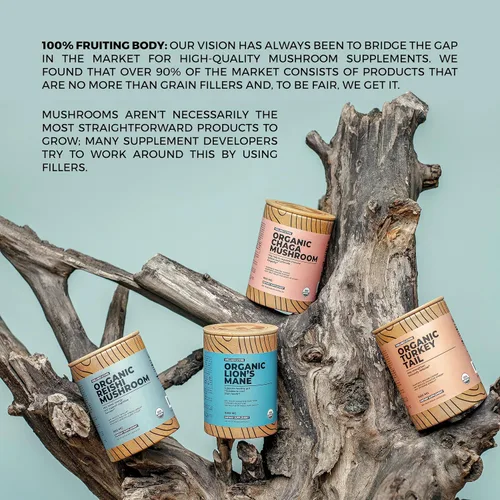 Miniatura 8 de Cápsulas de suplemento de hongos orgánicos Reishi Extracto de ganoderma, suplemento de apoyo inmunológico Aumenta la energía, combate la fatiga