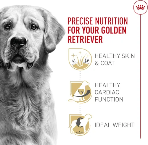 Miniatura 3 de Royal Canin Breed Health Nutrition Golden Retriever - Alimento seco para perros adultos, bolsa de 5 libras