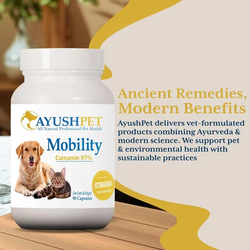 Miniatura 6 de Ayush Pet Mobility, suplemento de curcumina para articulaciones saludables, articulaciones puras y potentes, digestión y apoyo cerebral, mascotas
