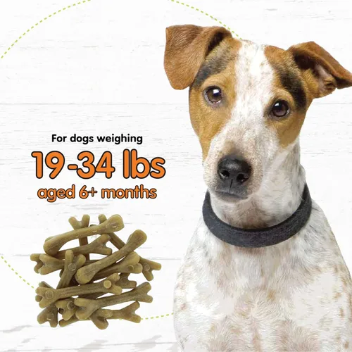 Miniatura 5 de Fido Super Breath - Huesos para el cuidado dental para perros, 13 unidades de golosinas dentales para perros pequeños (hechos en Estados Unidos)