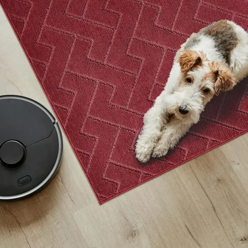 Miniatura 3 de PURRUGS Alfombra de fácil cuidado de 6 x 9 pies, antideslizante, lavable a máquina, tapete para puerta de perro, resistente a las manchas