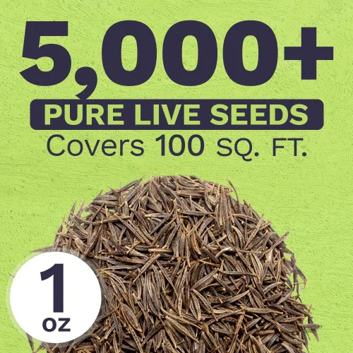 Miniatura 3 de Cosmos Seeds Mezcla de flores silvestres, paquete a granel de 1 onza, más de 5,000 semillas, especies mixtas de rosa, amarillo, naranja, rojo