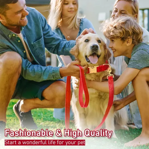 Miniatura 6 de GAMUDA Collar y correa de terciopelo para perro, súper suave y liso, hebilla dorada resistente, cómodo y fácil de limpiar, collar ajustable para Rojo