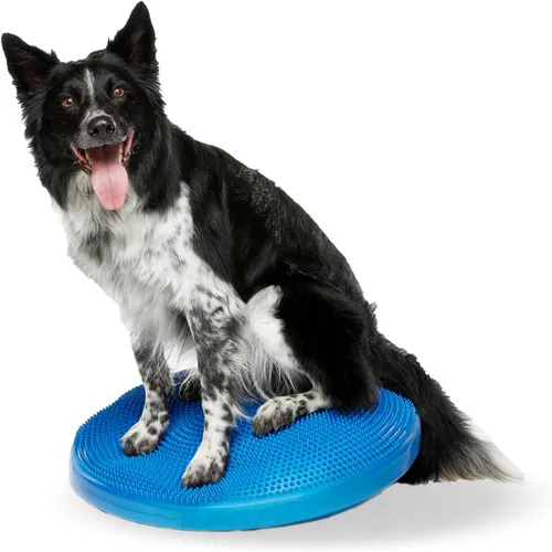 Miniatura 9 de FitPaws® Disco de equilibrio para perros, 22 pulgadas, Razzleberry Equipo de ejercicio para perros Herramienta de entrenamiento para fuerza