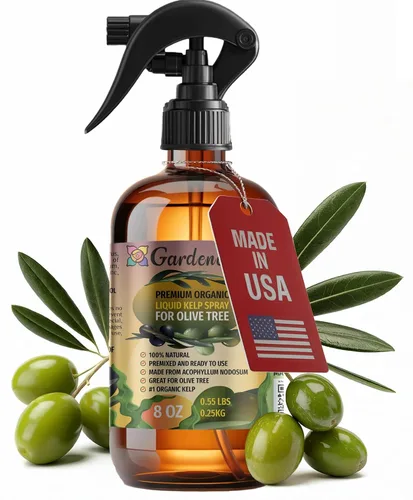 Miniatura 11 de GARDENERA Spray orgánico profesional de algas marinas para plantas AGLAONEMA – 8 oz – Rocío fertilizante de algas marinas y algas marinas totalmente