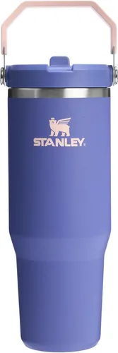 Miniatura 71 de Stanley IceFlow - Vaso con pajilla abatible con asa, de 20 onzas, tapa giratoria y popote abatible, botella de agua resistente a fugas, acero