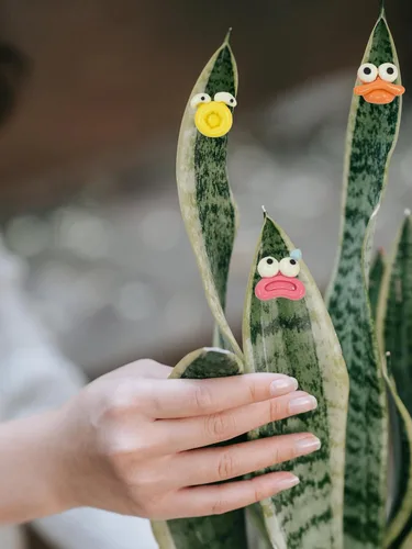 Miniatura 6 de Imanes de plantas, Googly Eyes imanes de plantas para plantas en maceta, dijes de plantas para regalos de plantas, juego de 7