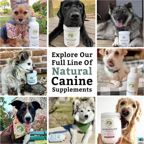 Miniatura 9 de Wholistic Pet Organics Canine Complete - Polvo multivitamínico para perros, 4 libras, vitaminas diarias para perros y suplementos para alimentos