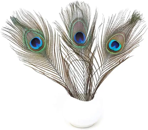 Miniatura 5 de Ballinger 6 PCS Plumas de Ojo de Pavo Real Naturales Grandes de 10-12 pulgadas para Manualidades DIY, Decoraciones de Boda y Festivas