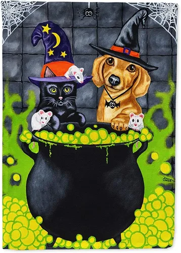 Caroline's Treasures AMB1434CHF Brewing Up Trouble Halloween Dachshund House Flag - Bandera grande para porche, manga para porche, decoración