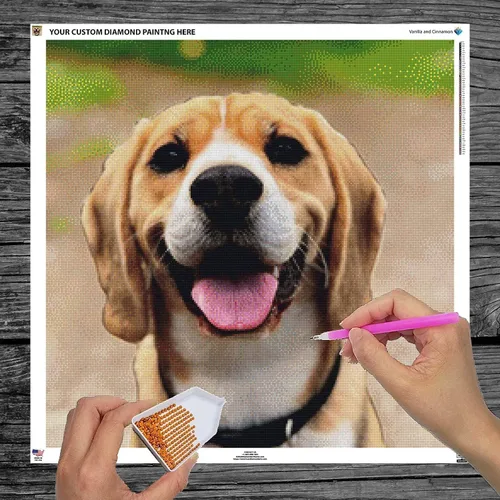 Miniatura 3 de Vanilla and Cinnamon Kits de Pintura de Diamante Personalizados para Adultos - Arte de Diamante Personalizado, Kits de Arte de Diamante Taladro