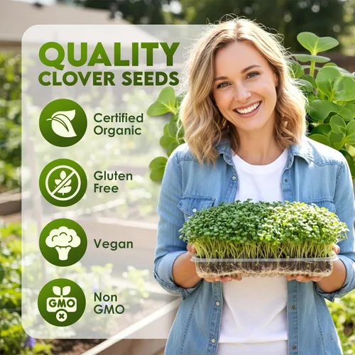 Miniatura 2 de Nature Jims Sprouts Semillas de trébol – Semillas germinantes orgánicas sin OMG para semillas frescas y ricas en nutrientes, llenas de vitaminas