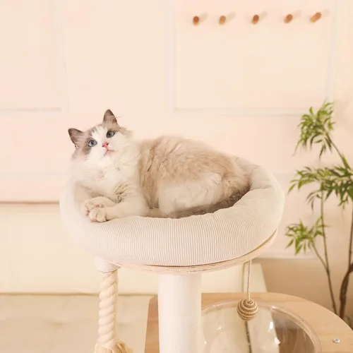Miniatura 7 de Árbol moderno para gatos de 59 pulgadas, torre grande de varios niveles, árbol de madera resistente para gatos con hamaca, poste rascador de algodón