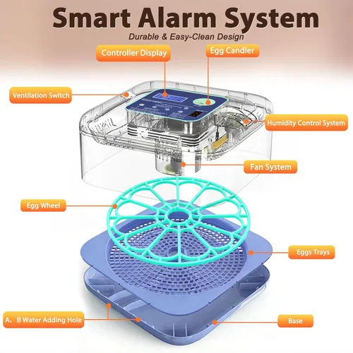 Miniatura 5 de Incubadoras para incubar huevos, incubadora inteligente de huevos con control de humedad y temperatura y girador automático, 360° View Incubadora De