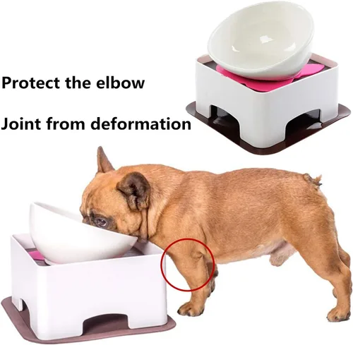 Miniatura 2 de Bulldog Bowl - Tazón de cerámica para perros – Plato para gatos, cuenco de boca ancha para perros, comedero inclinado estéril para mascotas