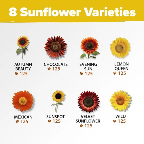 Miniatura 2 de Home Grown Semillas de girasol para plantar 8 variedades de paquetes de semillas de flores de sol para plantar: cultivar girasoles enanos