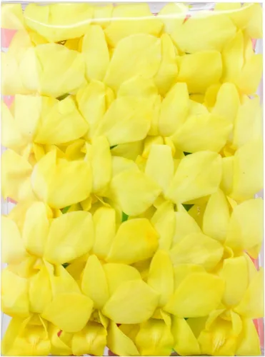 Miami Fresh Orchid Flower OrchidClub USA Sunne Tropical Loose Bloom Head DIY Lei Food Drink Decoración AMARILLO (50 plátanos amarillos)