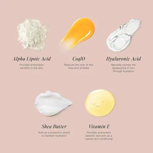 Miniatura 3 de Jouer Skin Barrier Cream - Crema hidratante reparadora de barrera cutánea - Crema hidratante de ácido hialurónico DD - Para cara y arrugas