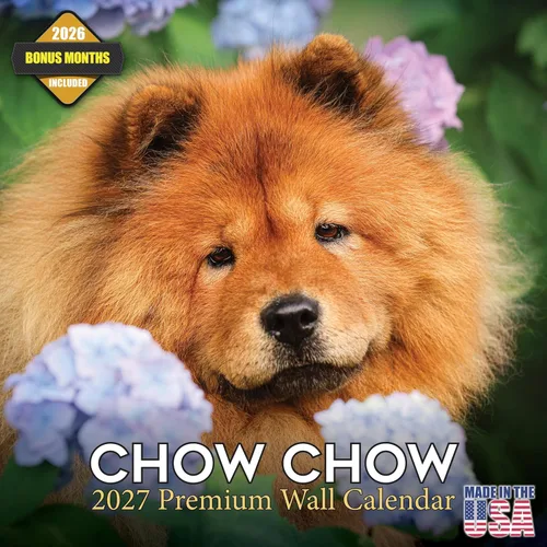 Calendario Chow Chow 2025 2026 – Calendario mensual de pared de raza de perro – 12 x 24 pulgadas abierto – Papel grueso sin sangrado – Regalar –