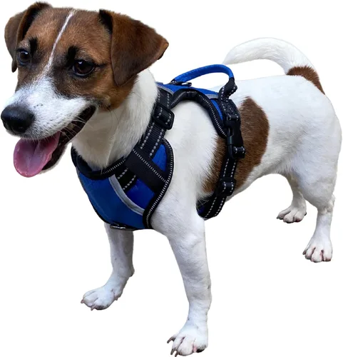 Miniatura 15 de Arnés antitirones para perro pequeño con 2 hebillas de liberación rápida y mango de fácil control, chaleco suave reflectante sin estrangulamiento