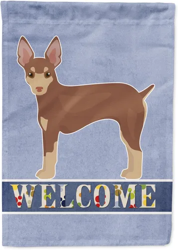 Miniatura 77 de Caroline's Treasures CK3647CHF - Bandera de bienvenida con diseño de bulldog francés, manga grande, para porche, para colgar en la pared, poliéster