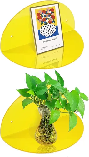 ROYALITA Estantes flotantes pequeños de acrílico para decoración de habitación (paquete de 2, 8 pulgadas de diámetro), soporte de exhibición montado