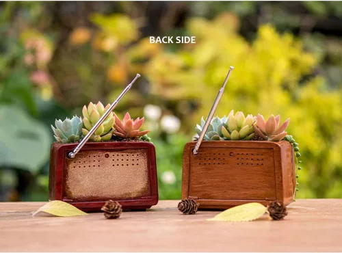 Miniatura 5 de Macetas de madera, mini maceta, maceta retro de resina para suculentas, bonsái, soporte de escritorio, mini adorno (caoba radio)