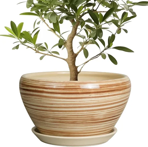 Miniatura 49 de Maceta de Cerámica Moderna con Esmalte para Suculentas con Agujero de Drenaje y Platillo, Maceta Redonda de 6 Pulgadas para Plantas de Flores