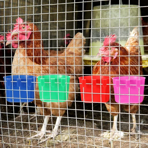 Miniatura 6 de 100 tazas en jaula para pollo, 8 onzas, cuenco colgante de agua para pájaros, jaula de conejo, plato de alimentación de aves de corral, mascotas