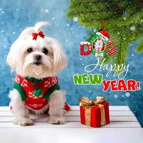 Miniatura 3 de FaCraft Marco de Fotos Navideño para Perro - Adornos Navideños 2025, Mejores Adornos para Perros para Decoraciones de Árbol de Navidad, Adornos