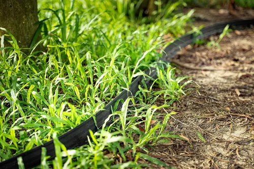 Miniatura 8 de Kit de bordes de paisaje, bordes de jardín de 30 pies y 2 pulgadas de alto con 27 estacas de borde, bordes de goma para paisajismo, cama de flores
