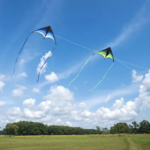 Miniatura 6 de Mint's Colorful Life - Cometa Delta para niños y adultos, cometa extremadamente fácil de volar, las mejores cometas para principiantes