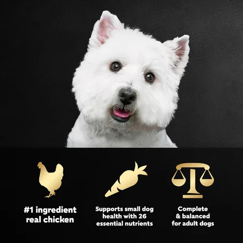 Miniatura 2 de Comida para perros de raza pequeña seca Cesar, Pollo
