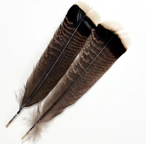 Miniatura 7 de Plumas de pavo negro, pluma larga natural grande de 10 a 13 pulgadas, plumas bilaterales de tamaño grande para manualidades, 12 piezas (pavo negro)