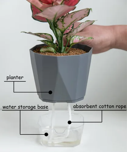 Miniatura 4 de Paquete de 6 macetas de plástico de 5 pulgadas con autorriego para interiores, modernas macetas decorativas para suculentas, aloe, hierbas, violetas