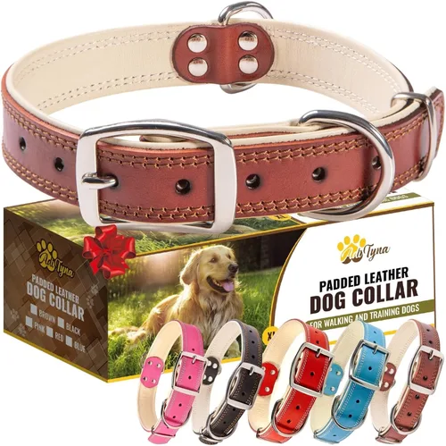Miniatura 22 de ADITYNA Collar de perro de cuero rosa resistente para perros grandes, forrado con cuero suave, collar de perro para caminar, entrenar y senderismo