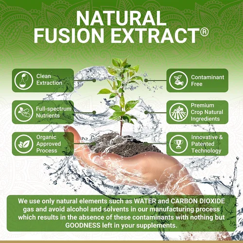 Miniatura 2 de True Veda Cápsulas en polvo de amla orgánica Amla Powder Vitamina C orgánica Suplemento de amalaki de extracto natural de grosella espinosa india