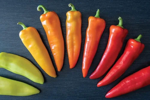 Miniatura 14 de Semillas de huerto para plantar - Cultivar verduras tradicionales (tomate bistec)