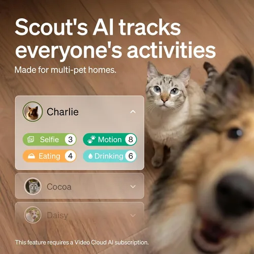 Miniatura 3 de PETLIBRO Cámara para gatos y perros con reconocimiento de múltiples mascotas, cronogramas individuales, seguimiento de actividad, resúmenes