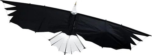 Revolution Kites 3D Eagle Quad-Line Stunt Wing de 8 pies (novicios a profesionales) - Diseño de fibra de carbono ultraligero - Lanzamiento desde