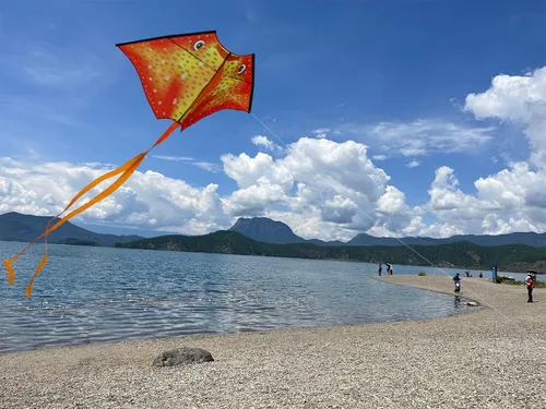 Miniatura 4 de HONBO Ray Kite para niños y adultos, cometa grande para playa, fácil de volar, cometa Delta de una sola línea, mango de cometa incluido