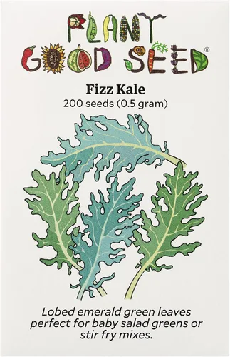 Miniatura 7 de Plant Good Seed Black Magic Lacinato - Semillas de col rizada, paquete de 150, semillas tradicionales para plantar verduras, suministros