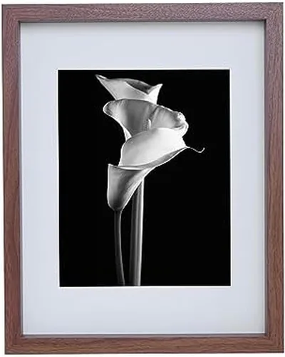 Miniatura 33 de Mikasa Marco de Galería para Retratos de Madera de 13 x 1.6 x 15 Pulgadas, Muestra una Foto de 12 x 14 Pulgadas Sin Paspartú o Foto de 8 x 10 Dorado