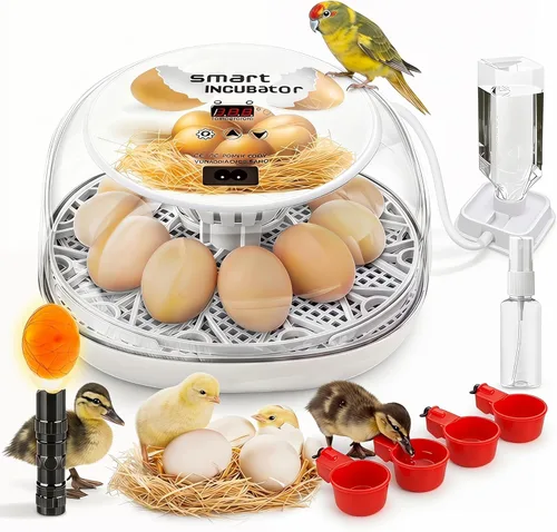 Incubadoras para incubar huevos, tazas para dar de beber a pollos, volteador de huevos automático que contiene 12 huevos, incubadora inteligente con