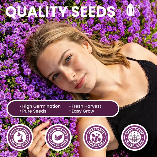 Miniatura 4 de Más de 20000 semillas de tomillo rastrero para plantar, plantas perennes de cobertura del suelo, flores, semillas de hierbas fragantes para césped