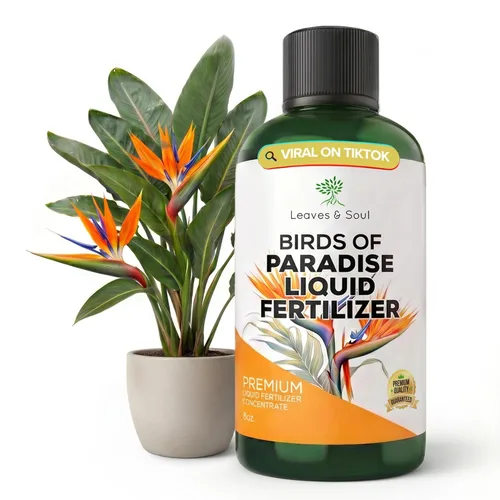 Miniatura 18 de Dracaena profesional fertilizante líquido 3-1-2 concentrado de 8 onzas, alimento líquido prémium para plantas de interior, fertilizante líquido