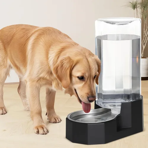Miniatura 6 de Sfozstra - Dispensador de agua por gravedad: Comedero automático de 4L en acero inoxidable blanco para gatos sin filtros para mascotas, uso