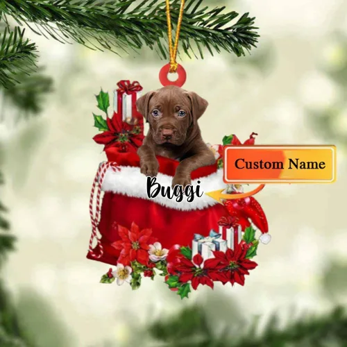 Miniatura 67 de Perro Akita Inu personalizado en bolsa de regalo, adorno de Navidad, nombre personalizado, regalo para amantes de los perros, familia, Navidad