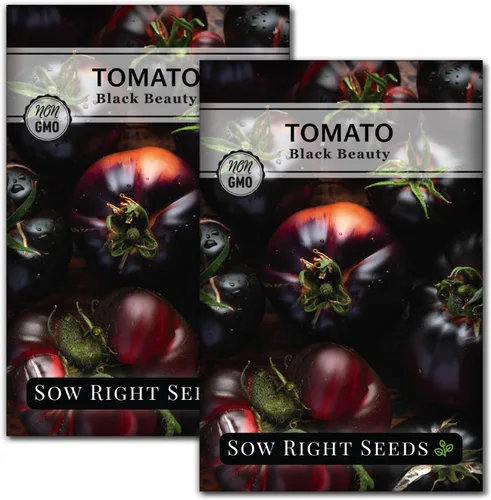 Miniatura 7 de Sow Right Seeds - Semillas de tomate Black Beauty para plantar - Paquete de reliquia sin OMG con instrucciones para plantar un huerto en el hogar al