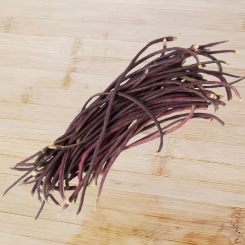 Miniatura 5 de Purple Yard - Semillas de frijol largo, más de 85 semillas, semillas de frijoles largos asiáticos, semillas de frijoles de espárragos, Phaseolus